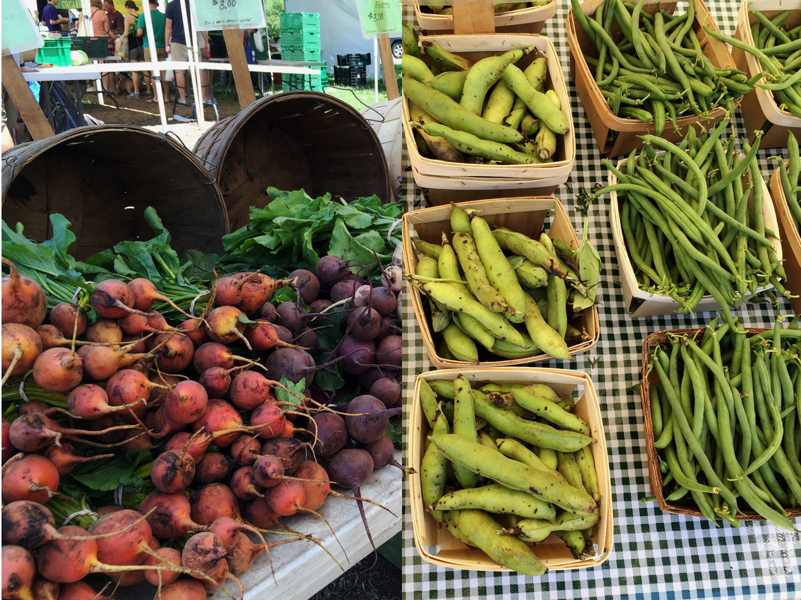 green-city-farmers-market-chicago